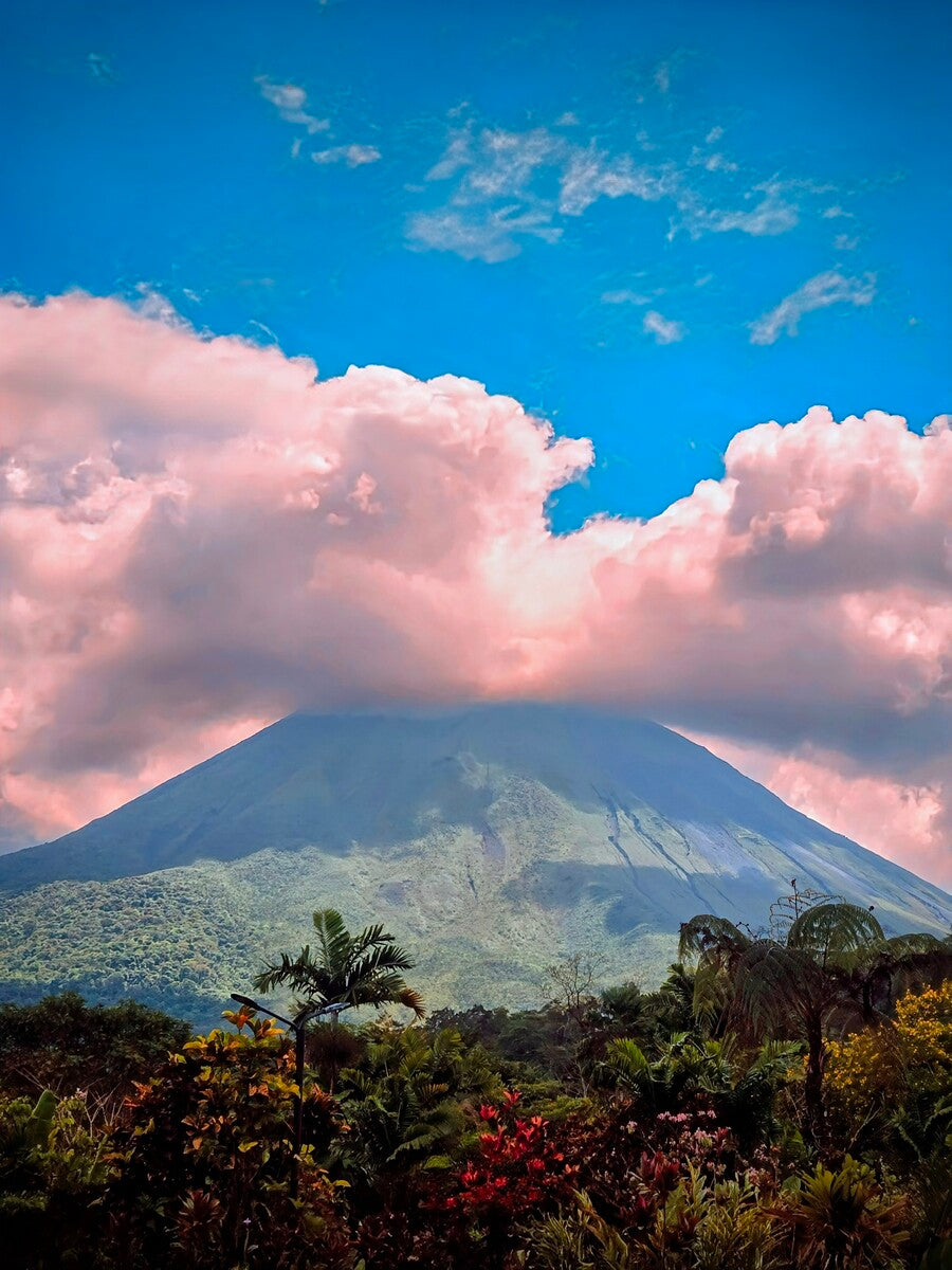 2465994 :: Giclée Rolled Canvas Print