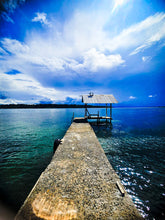 2159746 :: Giclée Rolled Canvas Print