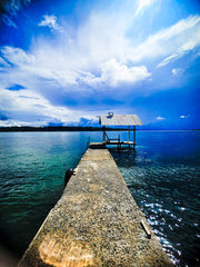 2159746 :: Giclée Rolled Canvas Print