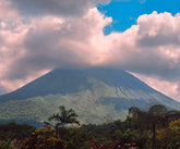 2444859 :: Giclée Rolled Canvas Print