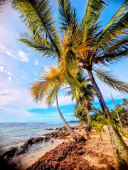 2467865 :: Giclée Fine Art Matte Paper Print