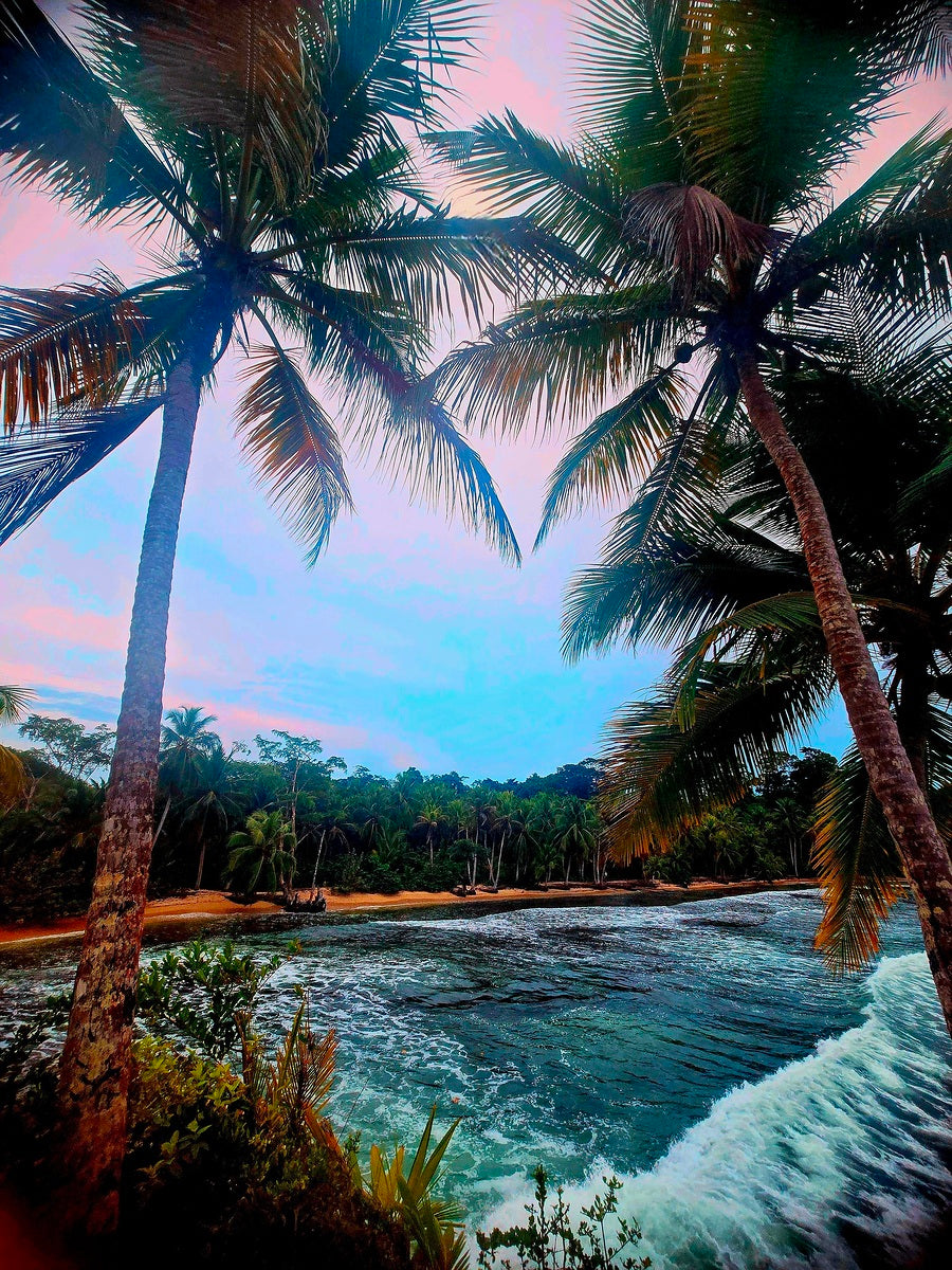 2473349 :: Giclée Fine Art Matte Paper Print