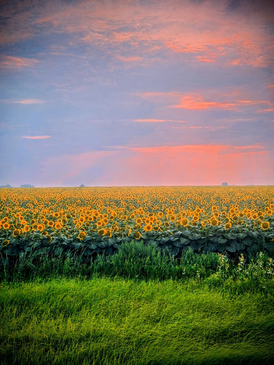 2465575 :: Giclée Rolled Canvas Print