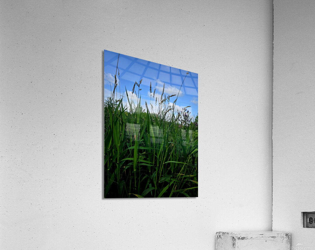 2162592 :: Acrylic Print
