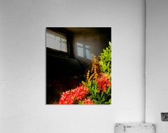 2460384 :: Acrylic Print