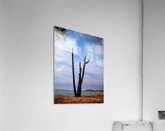 2461170 :: Acrylic Print