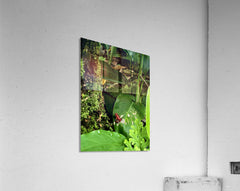 2470978 :: Acrylic Print