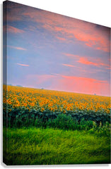 2465575 :: Giclée Stretched Canvas Print