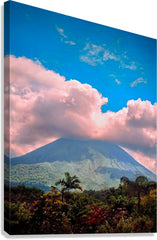 2465994 :: Giclée Stretched Canvas Print