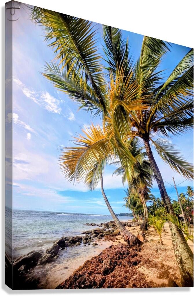 2467865 :: Giclée Stretched Canvas Print