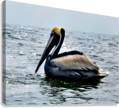 2476955 :: Giclée Stretched Canvas Print