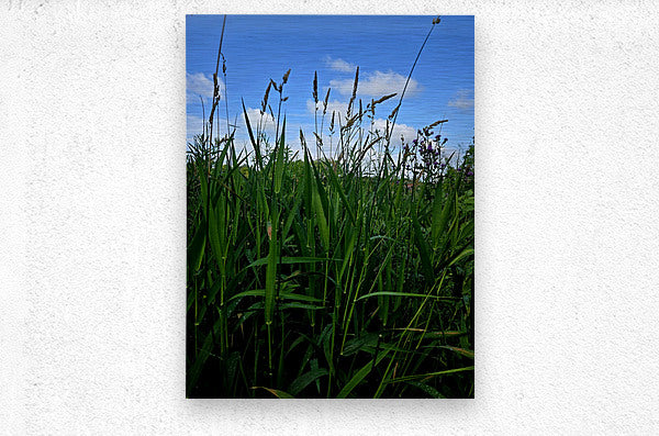 2162592 :: Brushed Metal Print