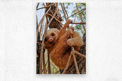2441431 :: Brushed Metal Print