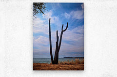 2461170 :: Brushed Metal Print