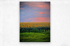 2465575 :: Brushed Metal Print