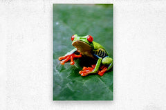 2466051 :: Brushed Metal Print