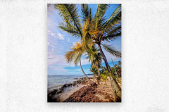 2467865 :: Brushed Metal Print