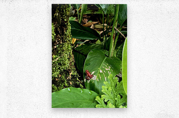 2470978 :: Brushed Metal Print