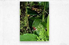 2470978 :: Brushed Metal Print