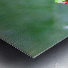 2466051 :: Brushed Metal Print