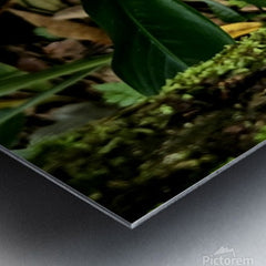 2470978 :: Brushed Metal Print