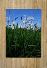 2162592 :: Puzzle Print