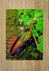 2480635 :: Puzzle Print