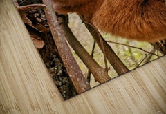 2441431 :: Puzzle Print