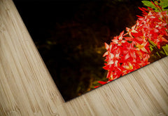 2460384 :: Puzzle Print
