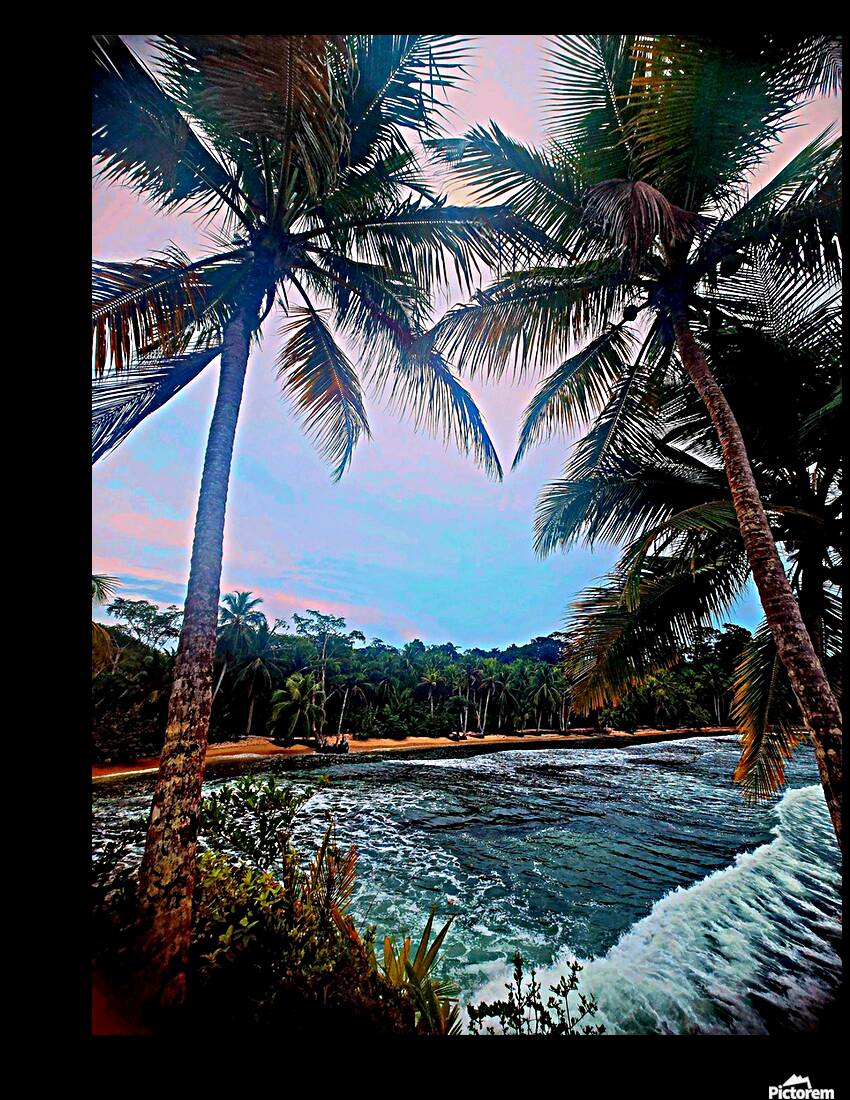 2473349 :: Giclée Stretched Canvas Print