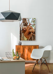 2441431 :: HD Sublimation Metal Print