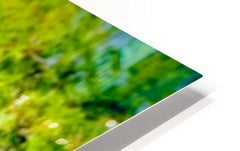 2470804 :: HD Sublimation Metal Print