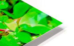 2480635 :: HD Sublimation Metal Print