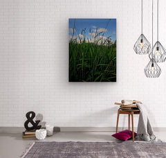 2162592 :: Wood Print