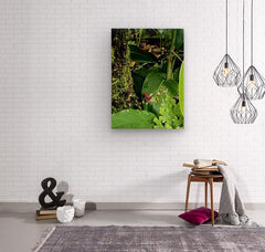 2470978 :: Wood Print