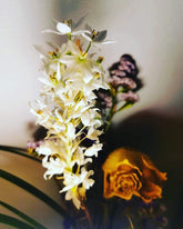 Darkeness and Bright