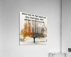 Acrylic Print