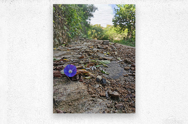 Brushed Metal Print