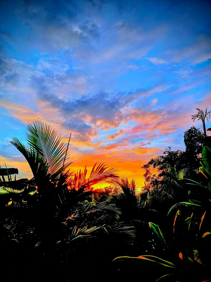 2479319 :: Giclée Fine Art Matte Paper Print