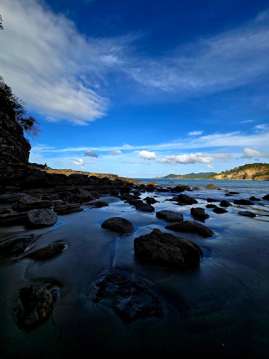 2512968 :: Giclée Rolled Canvas Print