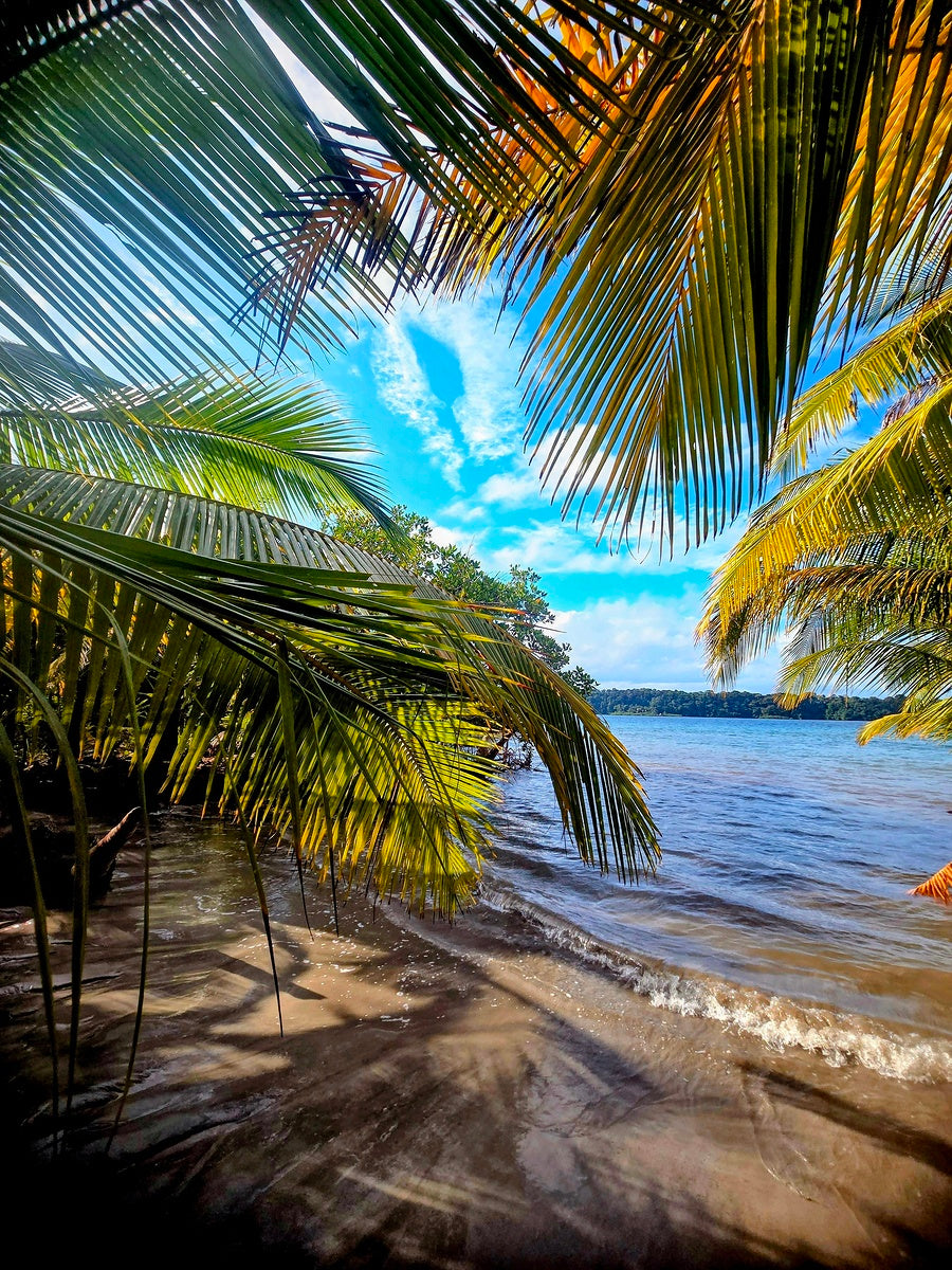 2494834 :: Giclée Fine Art Matte Paper Print