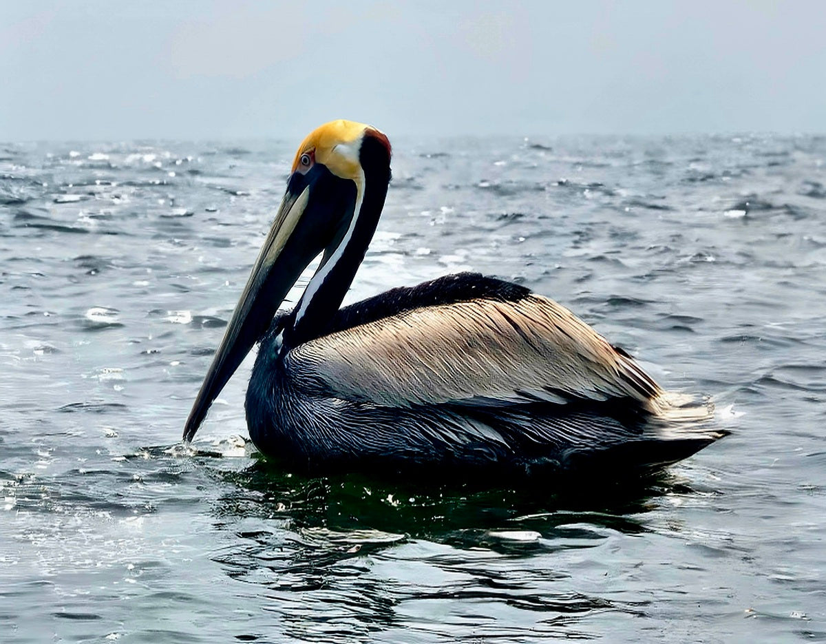 2476955 :: Giclée Fine Art Matte Paper Print