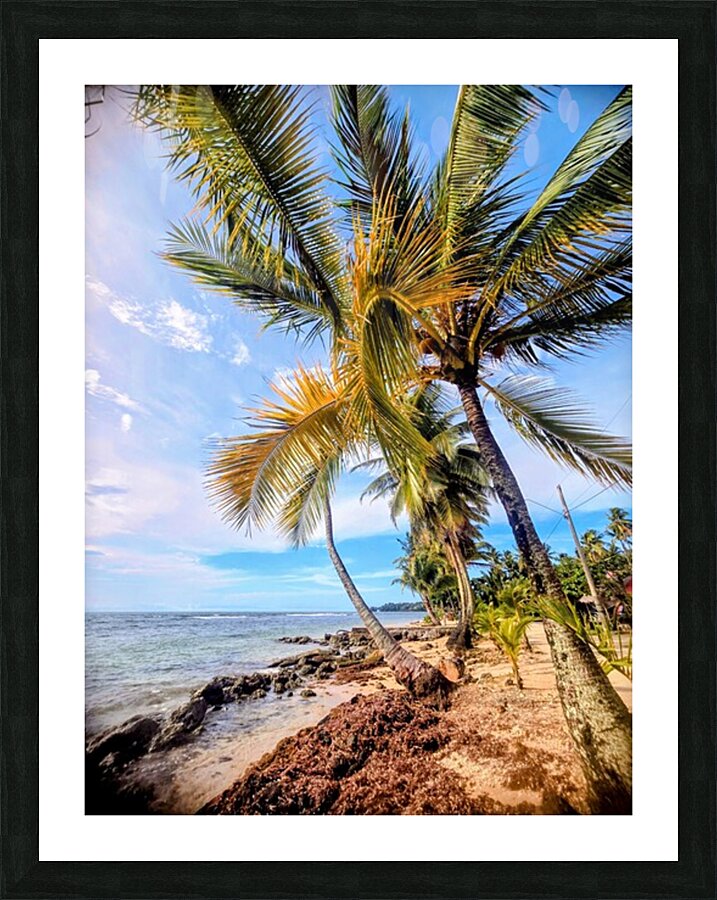 2467865 :: Framed Print