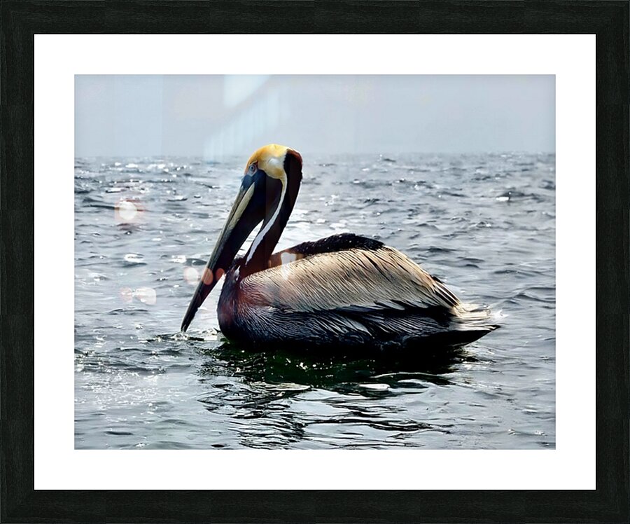 2476955 :: Framed Print