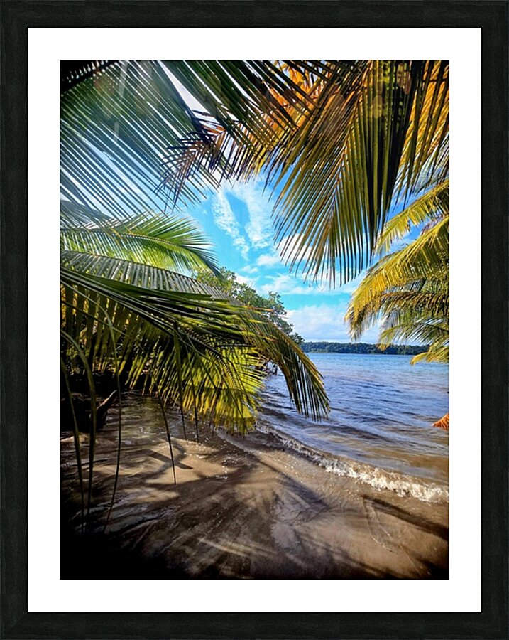 2494834 :: Framed Print