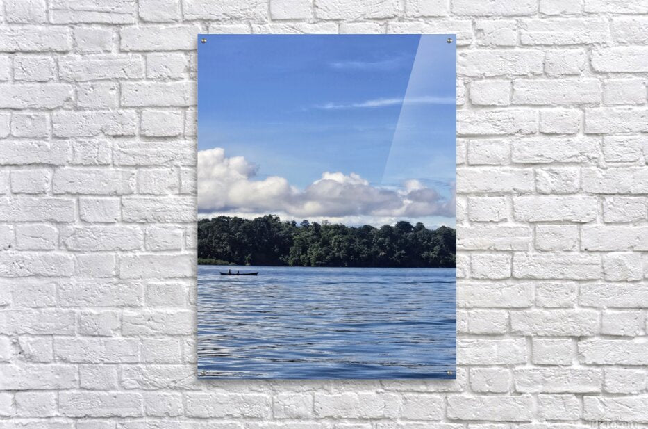 Acrylic Print