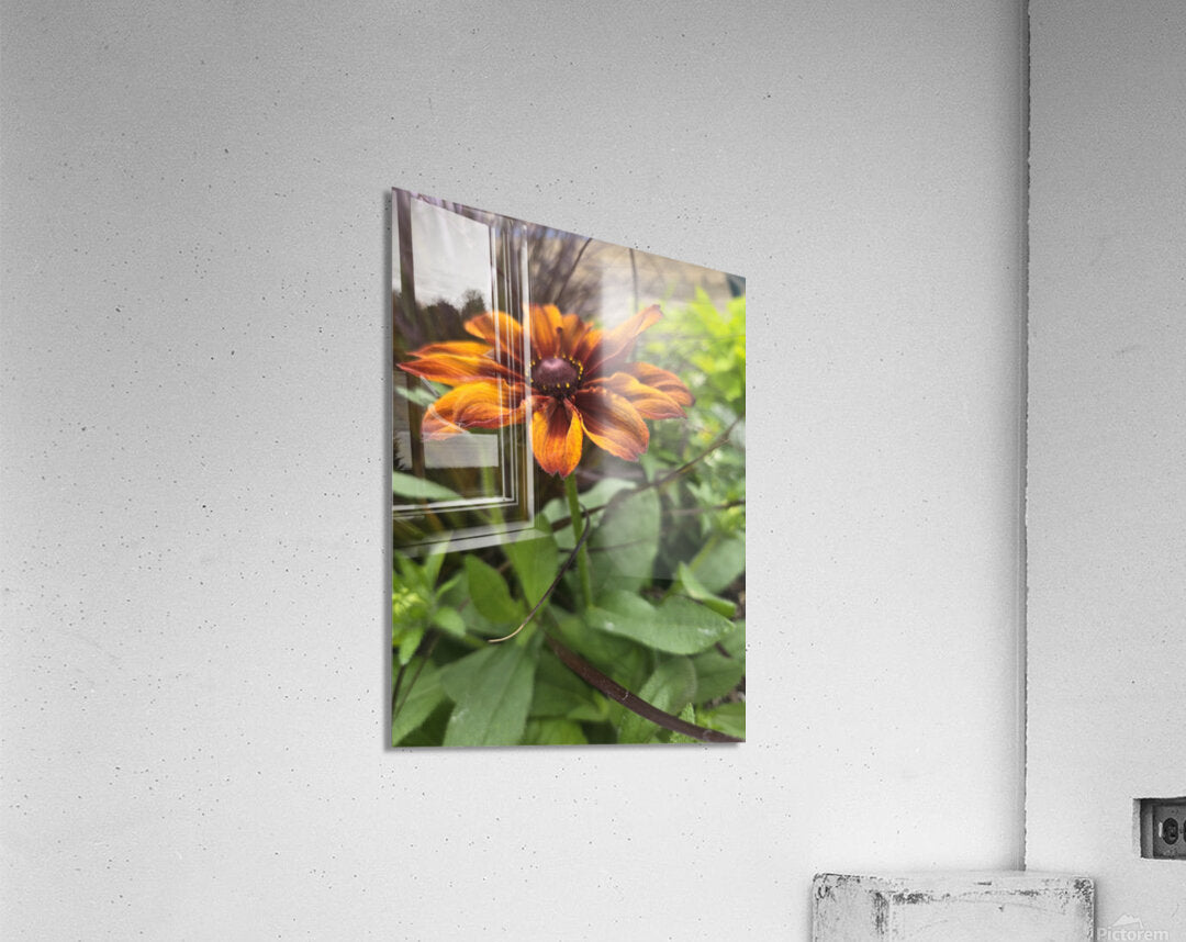 Acrylic Print