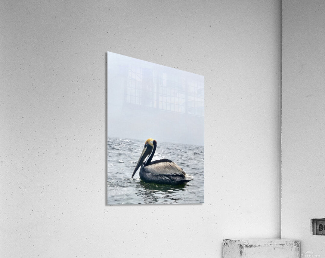 2455804 :: Acrylic Print
