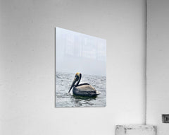 2455804 :: Acrylic Print