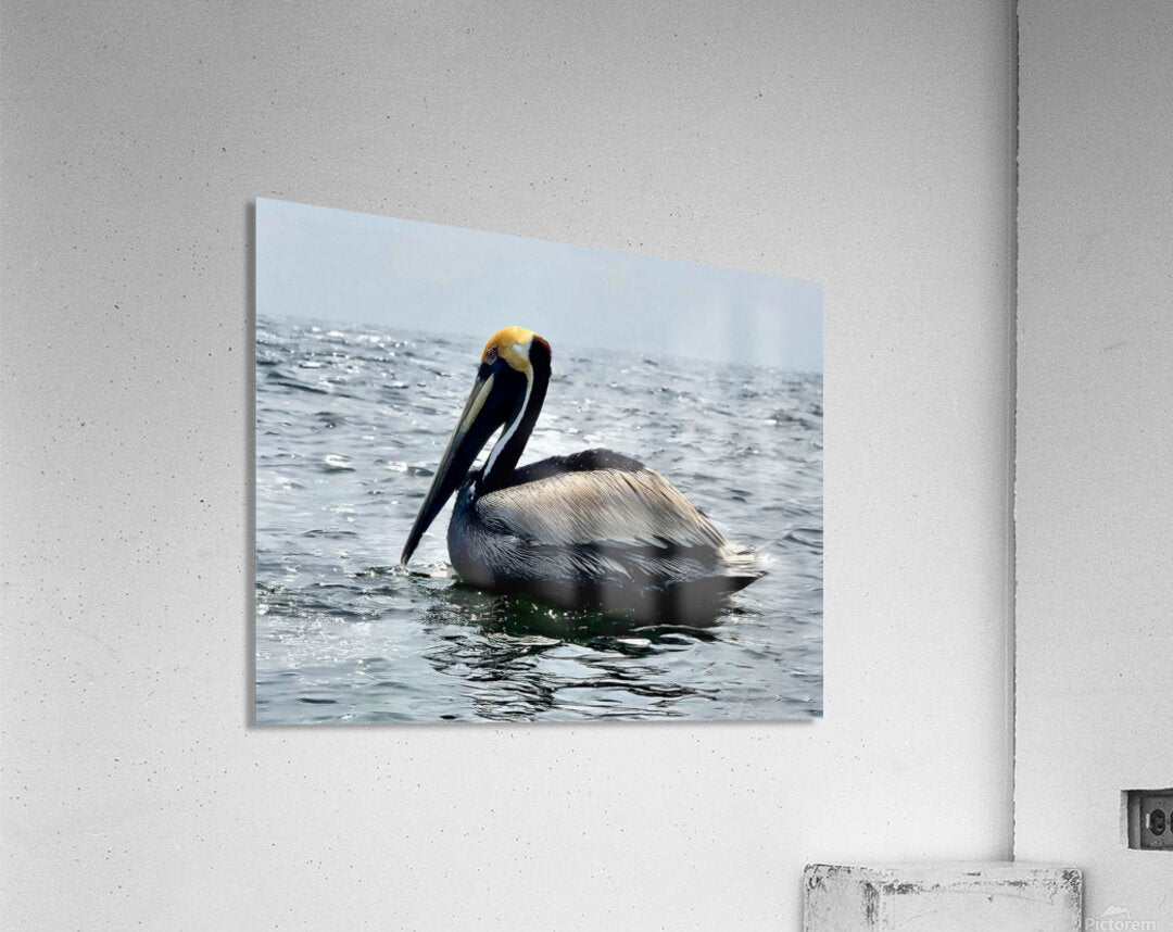 2476955 :: Acrylic Print